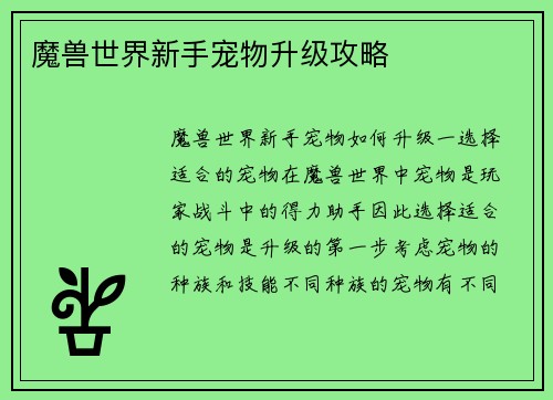 魔兽世界新手宠物升级攻略